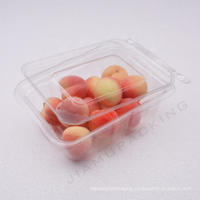 New Arrival Clear Rectangular Salad Box Fruit Food Dongguan Plastic Rectangle Customized Size Jiamu Packing 0.5mm Accept JMEA005